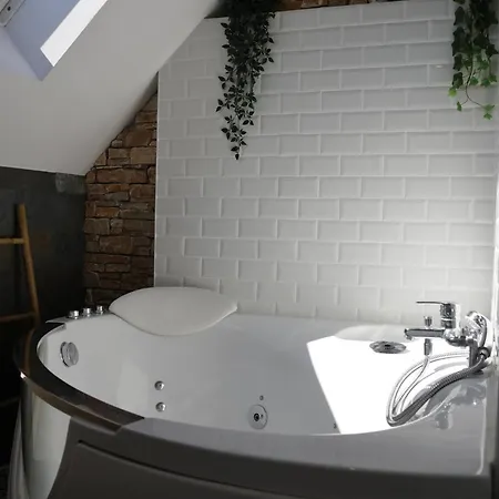 Appartamento Canopy Duplex Family Climatisé Balnéo Gare Rouen