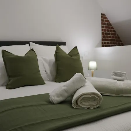 Appartamento Canopy Duplex Family Climatisé Balnéo Gare Rouen